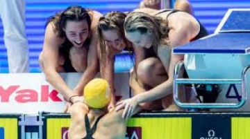 sport7.news
