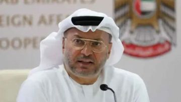 قرقاش: الدفاع عن الوطن واجب مقدس.. والسلام خيارنا الأول