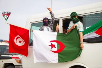 قافلة الصمود تستأنف طريقها نحو غزة بعد توقف قرب زليتن الليبية قافلة الصمود تستأنف طريقها نحو غزة بعد توقف قرب زليتن الليبية