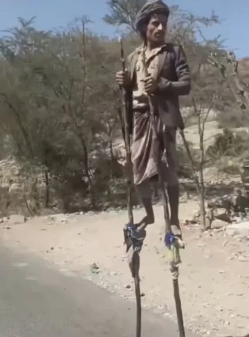 شاهد.. يمنيون يمشون على العصي الطويلة ببراعة في تقليد لرياضة أفريقية شهيرة (فيديو) شاهد.. يمنيون يمشون على العصي الطويلة ببراعة في تقليد لرياضة أفريقية شهيرة (فيديو)