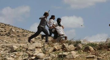 مجموعات المستوطنين تعتدي على الفلسطينيين وممتلكاتهم في مناطق متفرقة من الضفة مجموعات المستوطنين تعتدي على الفلسطينيين وممتلكاتهم في مناطق متفرقة من الضفة