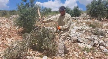 مستوطنون ينفذون عدة اعتداءات وانتهاكات جديدة بمسافر يطا مستوطنون ينفذون عدة اعتداءات وانتهاكات جديدة بمسافر يطا