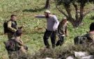 العدو الصهيوني يستولي على سبع دونمات في جنين ويغلق طريقا في بيت لحم - ye