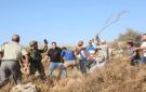 مستوطنون يعتدون على الفلسطينيين وممتلكاتهم بالضفة الغربية المحتلة