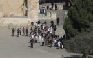 الخارجية القطرية: اقتحام الأقصى انتهاك للقانون الدولي واستفزاز للمسلمين