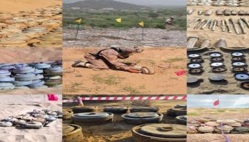 مركز الملك سلمان للإغاثة يمدد عقد مشروع مسام لتطهير الأراضي اليمنية من الألغام لمدة عام مركز الملك سلمان للإغاثة يمدد عقد مشروع مسام لتطهير الأراضي اليمنية من الألغام لمدة عام