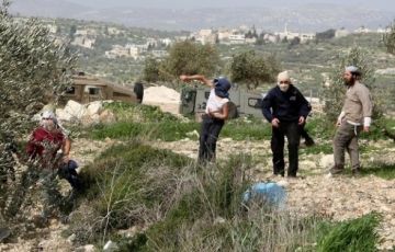مستوطنون يكسرون أشجار زيتون شرق بيت لحم ويهاجمون منزلا جنوب نابلس مستوطنون يكسرون أشجار زيتون شرق بيت لحم ويهاجمون منزلا جنوب نابلس