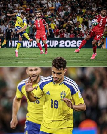 sport7.news