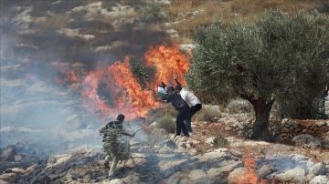العدو الإسرائيلي يستولي على 464 دونما من أراضي سنجل شمال رام الله