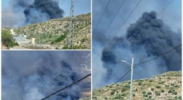 المستوطنون يصعدون اعتداءاتهم ضد الفلسطينيين وممتلكاتهم في نابلس وبيت لحم المستوطنون يصعدون اعتداءاتهم ضد الفلسطينيين وممتلكاتهم في نابلس وبيت لحم