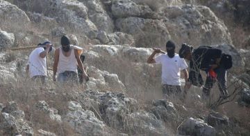 إصابة عدد من الفلسطينيين في هجوم للمستوطنين جنوب الخليل إصابة عدد من الفلسطينيين في هجوم للمستوطنين جنوب الخليل