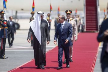 رئيس الإمارات يبحث مع نظيره المصري التطورات الإقليمية رئيس الإمارات يبحث مع نظيره المصري التطورات الإقليمية