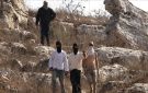 مستوطنون يقتحمون قرية شمال شرق القدس ويحاولون سرقة مواشي فلسطيني