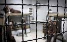 حملة حقوقية فلسطينية تحذر من تدهور أوضاع الأسرى المرضى داخل السجون الصهيونية