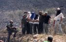 مستوطنون يصعدون من اعتداءاتهم على الفلسطينيين وممتلكاتهم في الضفة الغربية