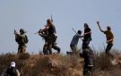 مستوطنون صهاينة يواصلون اعتداءاتهم ضد الفلسطينيين وممتلكاتهم في الضفة والقدس