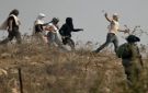 مستوطنون صهاينة يواصلون اعتداءاتهم ضد الفلسطينيين وممتلكاتهم في الضفة