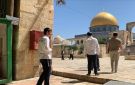 محافظة القدس: دمج جماعات الهيكل داخل شرطة الاحتلال بالأقصى يمثل تصعيدا خطيرا