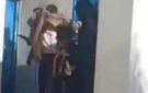 إهمال حوثي .. طفل يفقد يده داخل حديقة حيوان صنعاء وسط غياب أبسط معايير السلامة - ye