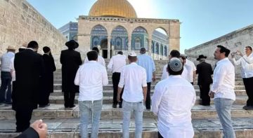 204 مستوطنين يقتحمون المسجد الأقصى 204 مستوطنين يقتحمون المسجد الأقصى