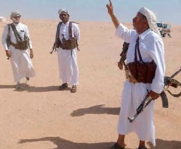 الصبيحة تهدد بالثأر من فدغم الصبيحة تهدد بالثأر من فدغم