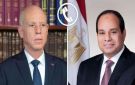 الرئيس السيسي يشدد على تضامن مصر مع تونس في مواجهة الحرائق