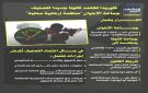 فلوريدا تعتمد قانونا جديدا لتصنيف جماعة الإخوان منظمة إرهابية محلية (إنفوجراف)