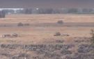 مركز سجل السوري: توغل إسرائيلي في ريف درعا الغربي وإطلاق نار باتجاه وادي الرقاد - ye