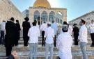 204 مستوطنين يقتحمون المسجد الأقصى - ye