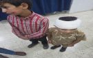 إصابة طفلين فلسطينيين من اللبن الشرقية إثر اعتداء لمستوطنين شرق سلفيت