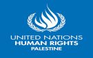 الأمم المتحدة: تصاعد عنف المستوطنين ضد التجمعات الفلسطينية في شمال غور الأردن