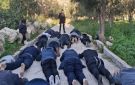 جماعات استيطانية تحشد لاقتحام الأقصى في ذكرى خراب الهيكل ودعوات للنفير والرباط - ye