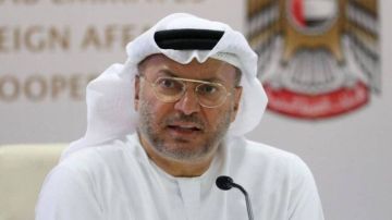 قرقاش: الحملات الإعلامية الموجهة ضد الإمارات يائسة قرقاش: الحملات الإعلامية الموجهة ضد الإمارات يائسة