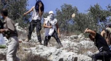 مستوطنون إرهابيون يحرقون أشجار زيتون شرق رام الله ويصيبون شاب في الأغوار الشمالية مستوطنون إرهابيون يحرقون أشجار زيتون شرق رام الله ويصيبون شاب في الأغوار الشمالية
