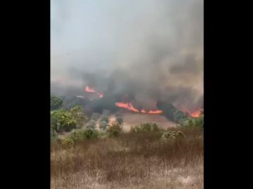 العدو الإسرائيلي يشعل حرائق بين عيتا الجبل وحداثا جنوبي لبنان