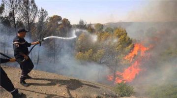 الجزائر تسجل 73 وفاة جراء حرائق الغابات ودفن جماعي لـ39 ضحية في ولاية جيجل الجزائر تسجل 73 وفاة جراء حرائق الغابات ودفن جماعي لـ39 ضحية في ولاية جيجل