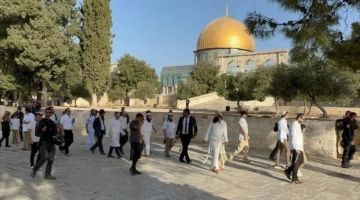 مستوطنون يقتحمون الأقصى بحماية مشددة من قوات العدو الإسرائيلي مستوطنون يقتحمون الأقصى بحماية مشددة من قوات العدو الإسرائيلي