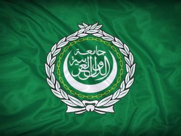 الجامعة العربية تدعو لضرورة وصول المساعدات إلى مستحقيها دون عوائق الجامعة العربية تدعو لضرورة وصول المساعدات إلى مستحقيها دون عوائق
