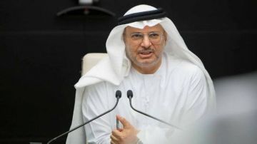 أنور قرقاش: سياسة استهداف دول الخليج والأردن أثبتت فشلها