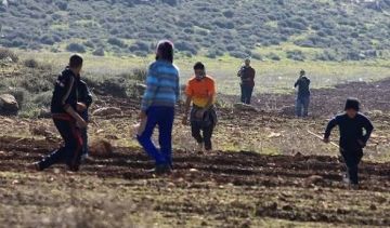 مستوطنون يهاجمون مساكن الفلسطينيين في خربة الحمة بالأغوار الشمالية مستوطنون يهاجمون مساكن الفلسطينيين في خربة الحمة بالأغوار الشمالية