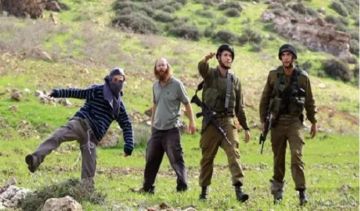 مستوطنون يعتدون على ممتلكات الفلسطينيين في الخليل وجنين مستوطنون يعتدون على ممتلكات الفلسطينيين في الخليل وجنين
