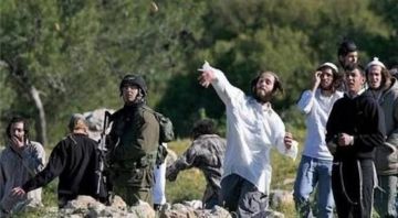 مستوطنون يواصلون اعتداءاتهم على الفلسطينيين وممتلكاتهم في الضفة والقدس مستوطنون يواصلون اعتداءاتهم على الفلسطينيين وممتلكاتهم في الضفة والقدس