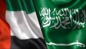 الإمارات خرجت من المستنقع اليمني... والسعودية بقيت في عمقه الإمارات خرجت من المستنقع اليمني... والسعودية بقيت في عمقه
