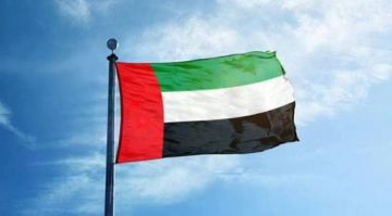 الإمارات تعلن تضامنها مع الجزائر في ضحايا حرائق الغابات الإمارات تعلن تضامنها مع الجزائر في ضحايا حرائق الغابات