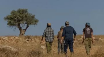 مستوطنون يعتدون على الفلسطينيين وممتلكاتهم في نابلس والخليل والاغوار الشمالية مستوطنون يعتدون على الفلسطينيين وممتلكاتهم في نابلس والخليل والاغوار الشمالية
