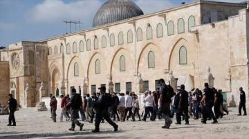 1128 مستوطنا يقتحمون باحات المسجد الأقصى خلال الأسبوع الماضي 1128 مستوطنا يقتحمون باحات المسجد الأقصى خلال الأسبوع الماضي