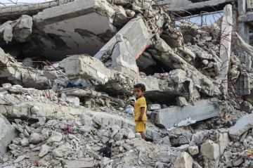 الأمم المتحدة: 3 من الأراضي الزراعية في غزة سليمة ومتاحة للمزارعين