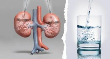 أفضل مشروب لحماية الكلى.. ما هو؟ أفضل مشروب لحماية الكلى.. ما هو؟