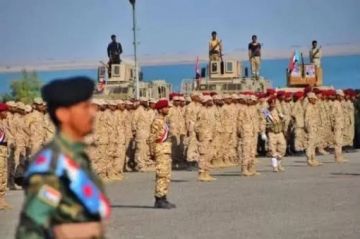 عقيدة الشرف والوفاء.. نضال القوات الجنوبية يحمي الثوابت وينتصر للهوية عقيدة الشرف والوفاء.. نضال القوات الجنوبية يحمي الثوابت وينتصر للهوية