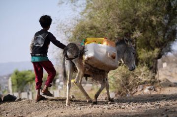 عن استنزاف أهم ثروة يمتلكها اليمن عن استنزاف أهم ثروة يمتلكها اليمن